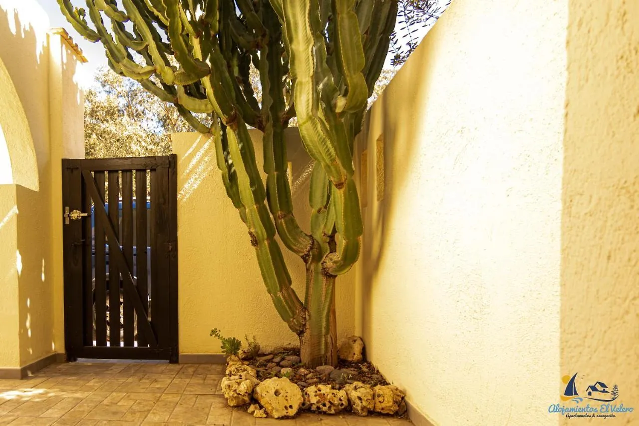 El Velero Sotillo Cactus Piscina San Jose  Holiday home
